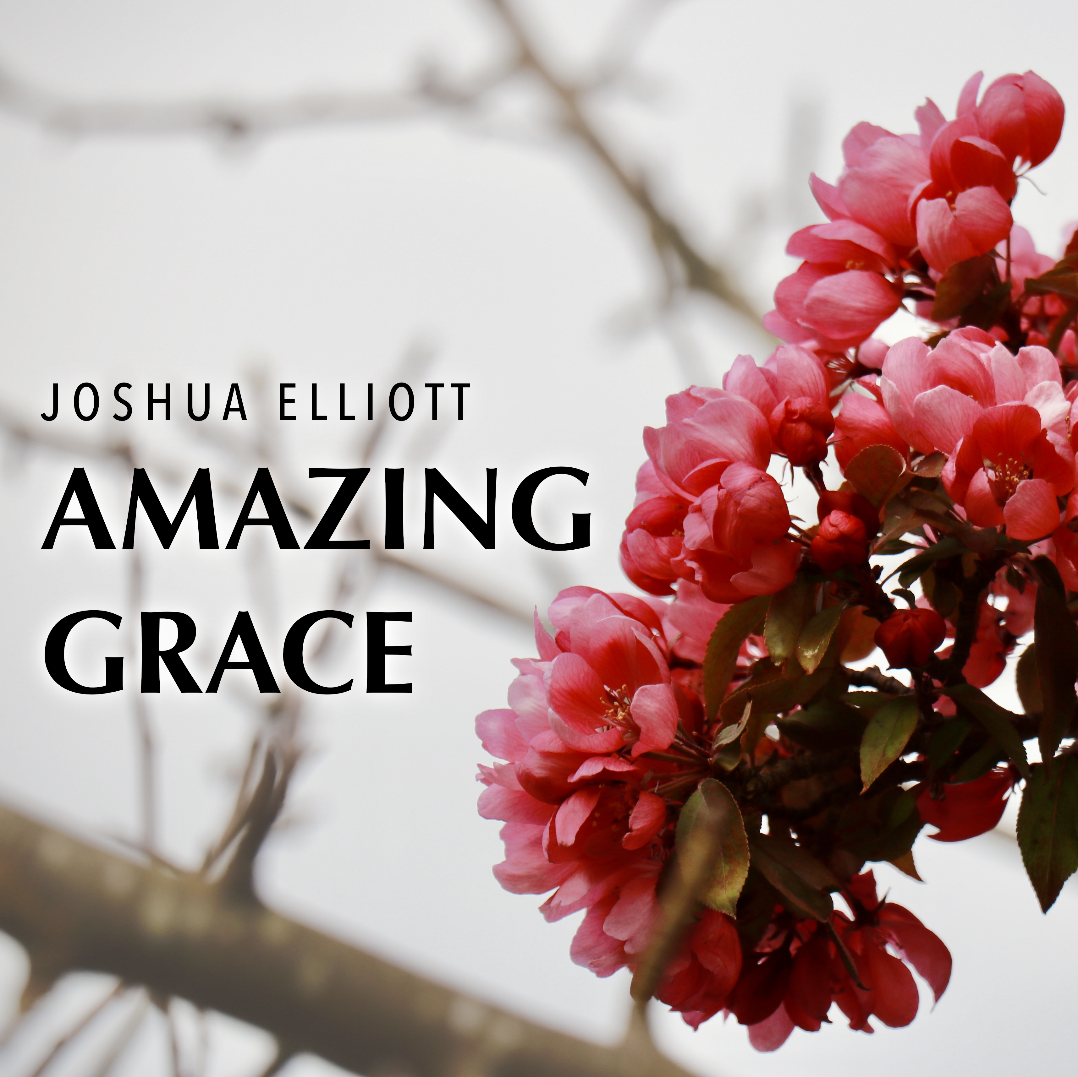Amazing Grace cover art